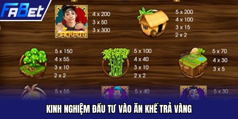 Kinh nghiệm đầu tư vào ăn khế trả vàng