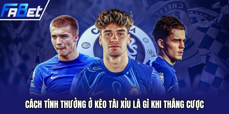 Cách tính thưởng ở kèo tài xỉu là gì khi thắng cược