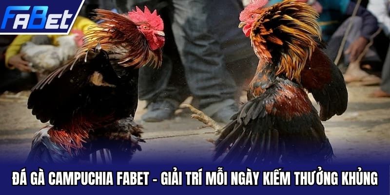 Đá gà Campuchia