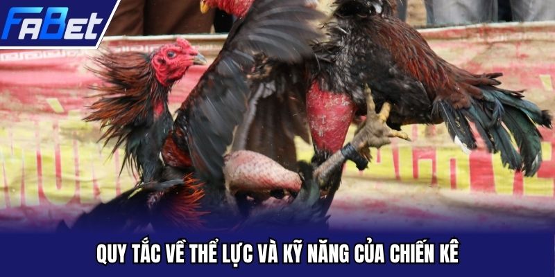 Phân tích thể lực chiến kê khi tham gia hình thức cựa sắt