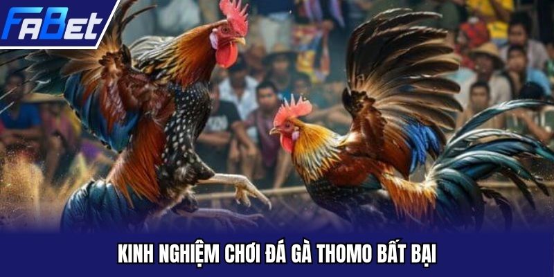 Bí kíp giúp bạn lựa chọn kết quả chính xác tại chọi kê Thomo