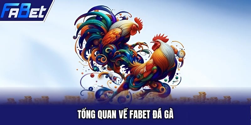 Tổng quan về FABET đá gà