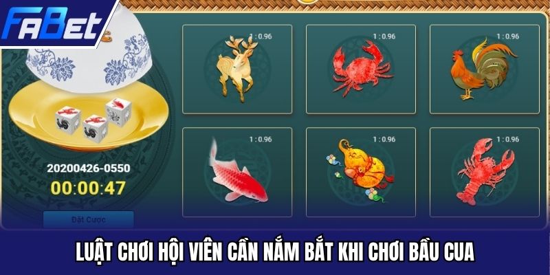 Luật chơi hội viên cầm nắm bắt khi chơi bầu cua