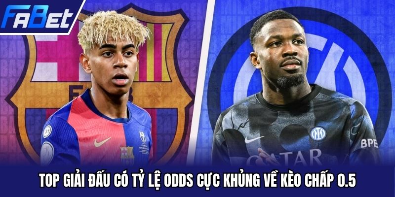Top giải đấu có tỷ lệ odds cực khủng về kèo chấp 0.5