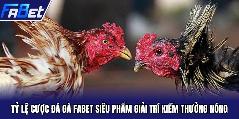 tỷ lệ cược đá gà