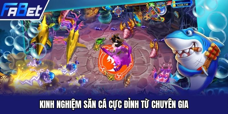 Bí kíp trở thành ngư dân tài ba ngay tại Fabet